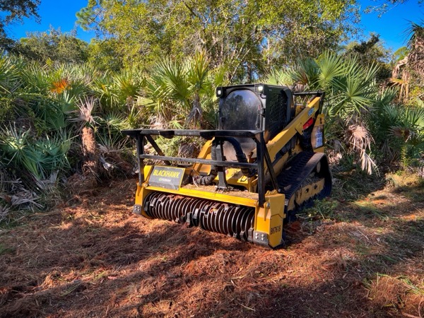 TreeShop land management project in Central Florida