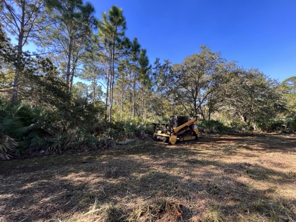 TreeShop land management project in Central Florida