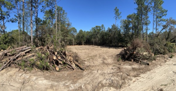 TreeShop land management project in Central Florida