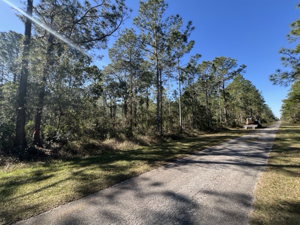 TreeShop land management project in Central Florida