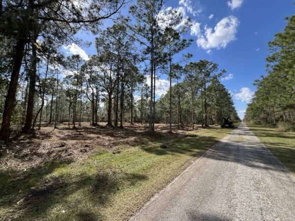 TreeShop land management project in Central Florida