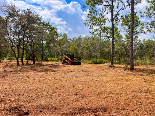TreeShop land management project in Central Florida