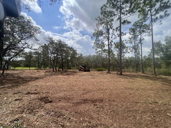 TreeShop land management project in Central Florida