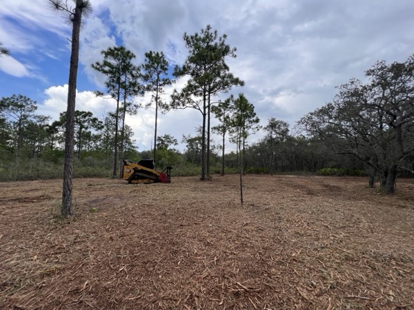 TreeShop land management project in Central Florida