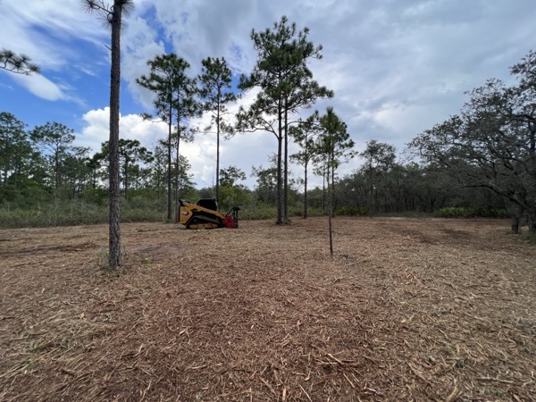 TreeShop land management project in Central Florida