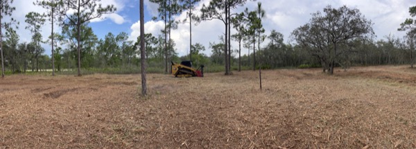 TreeShop land management project in Central Florida