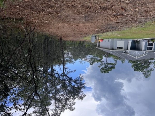 TreeShop land management project in Central Florida
