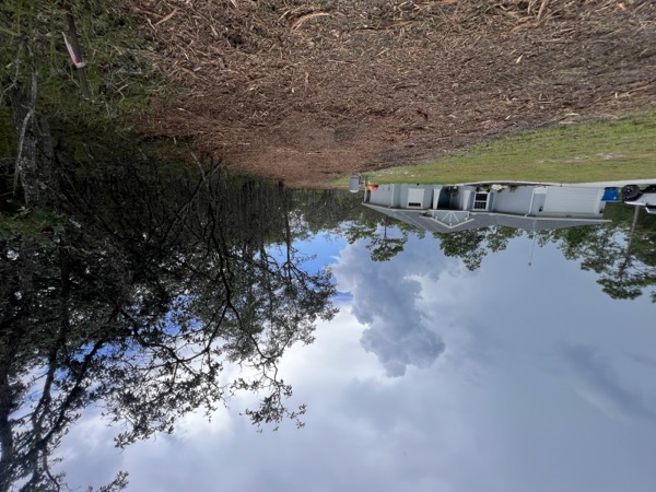 TreeShop land management project in Central Florida