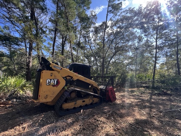 TreeShop land management project in Central Florida