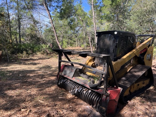 TreeShop land management project in Central Florida