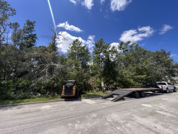 TreeShop land management project in Central Florida