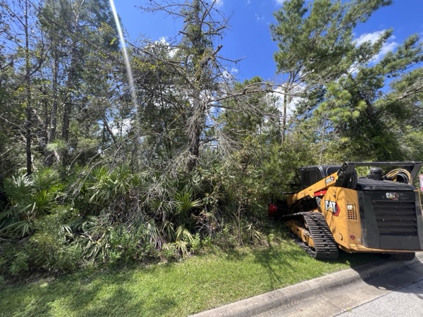 TreeShop land management project in Central Florida