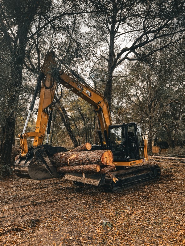 TreeShop land management project in Central Florida