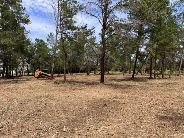 TreeShop land management project in Central Florida