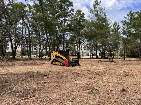 TreeShop land management project in Central Florida