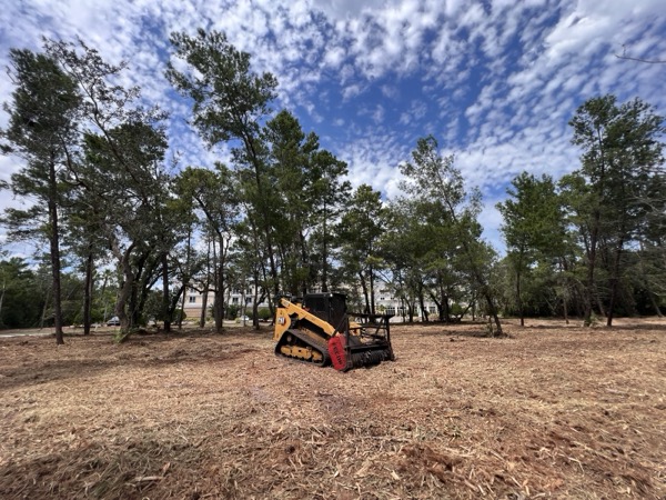 TreeShop land management project in Central Florida