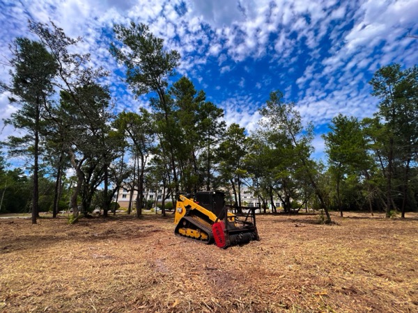 TreeShop land management project in Central Florida