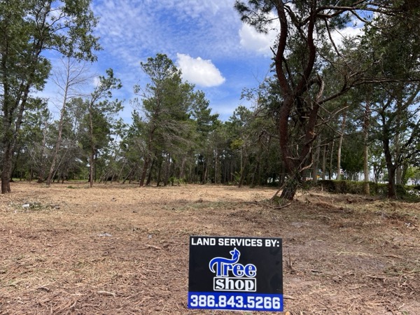 TreeShop land management project in Central Florida