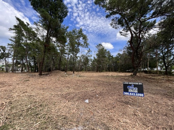 TreeShop land management project in Central Florida