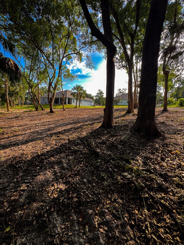 TreeShop land management project in Central Florida