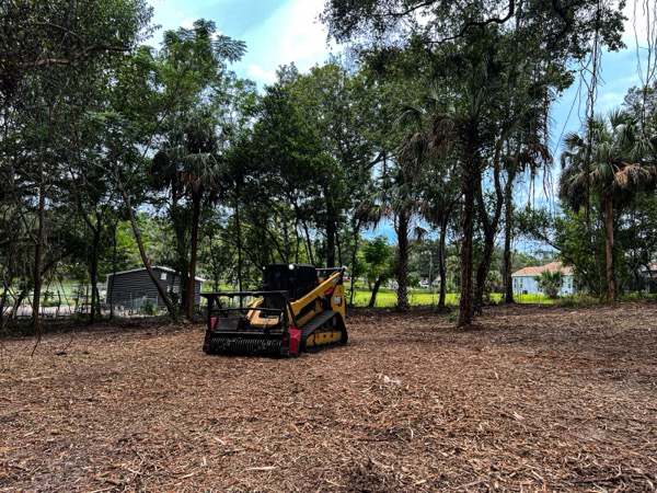 TreeShop land management project in Central Florida