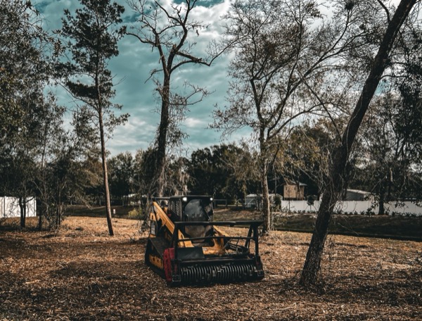 TreeShop land management project in Central Florida