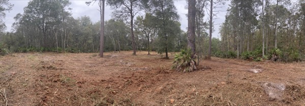 TreeShop land management project in Central Florida