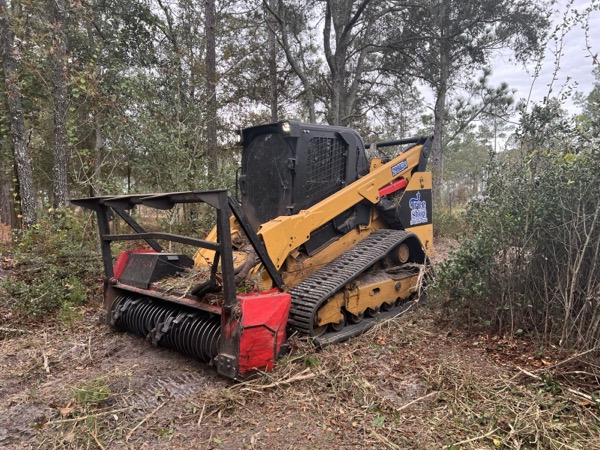 TreeShop land management project in Central Florida