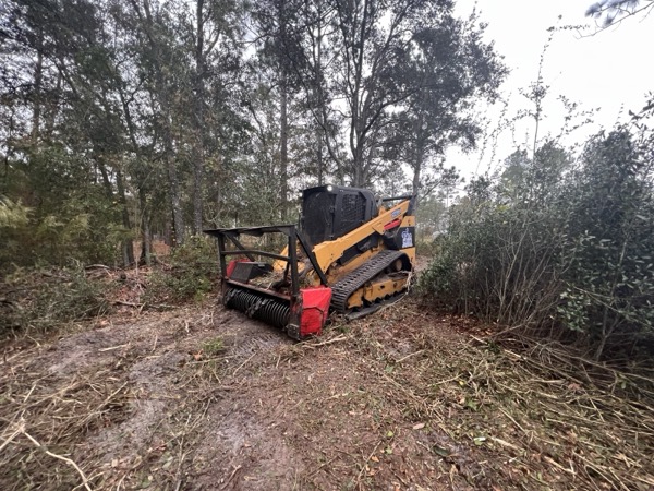 TreeShop land management project in Central Florida