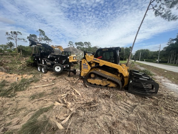 TreeShop land management project in Central Florida