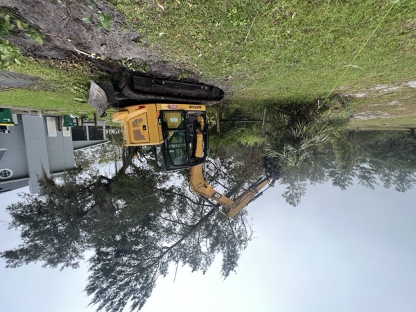 TreeShop land management project in Central Florida