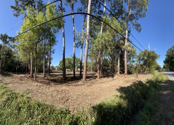 TreeShop land management project in Central Florida