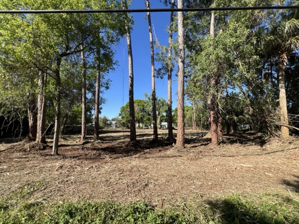 TreeShop land management project in Central Florida