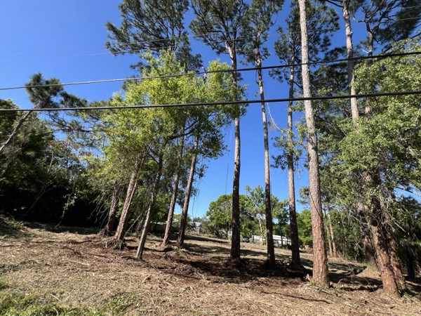 TreeShop land management project in Central Florida