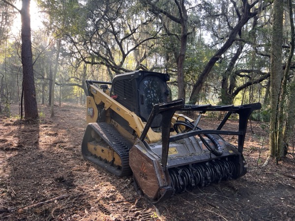 TreeShop land management project in Central Florida