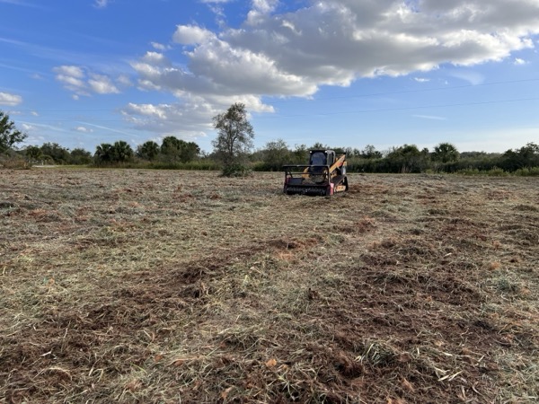 TreeShop land management project in Central Florida