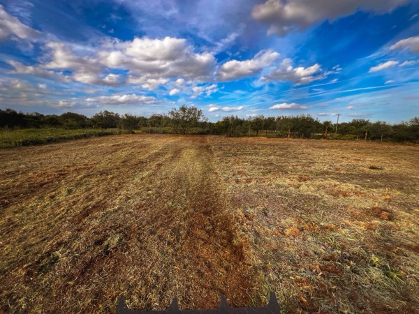 TreeShop land management project in Central Florida