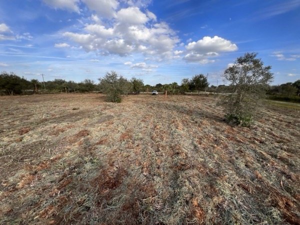 TreeShop land management project in Central Florida