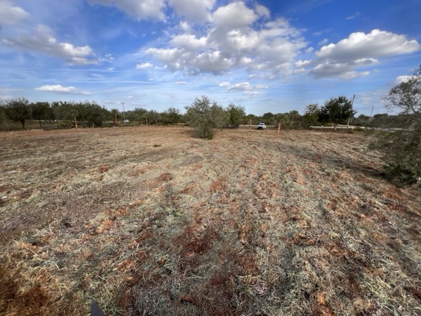 TreeShop land management project in Central Florida