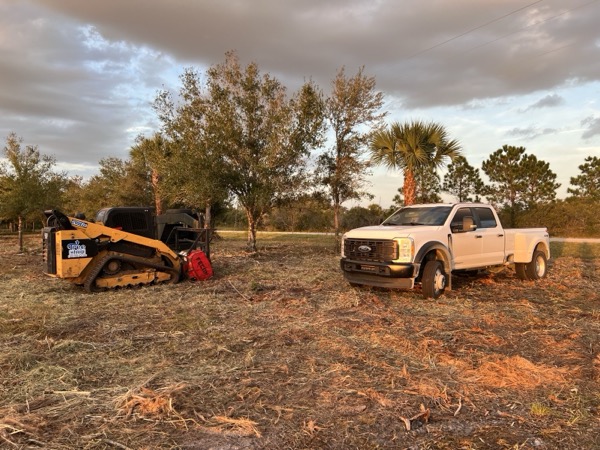 TreeShop land management project in Central Florida