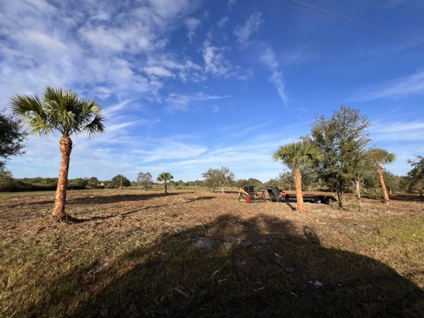 TreeShop land management project in Central Florida