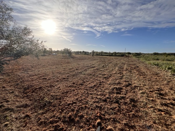TreeShop land management project in Central Florida
