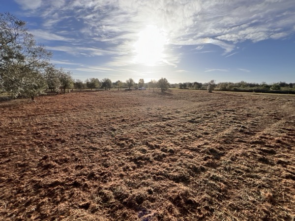 TreeShop land management project in Central Florida