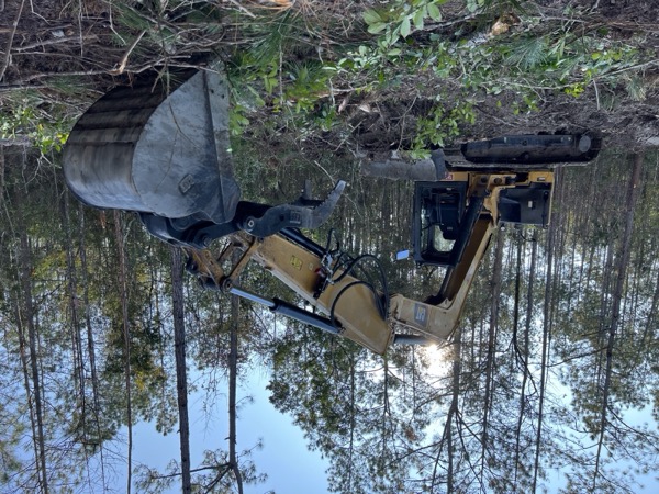 TreeShop land management project in Central Florida