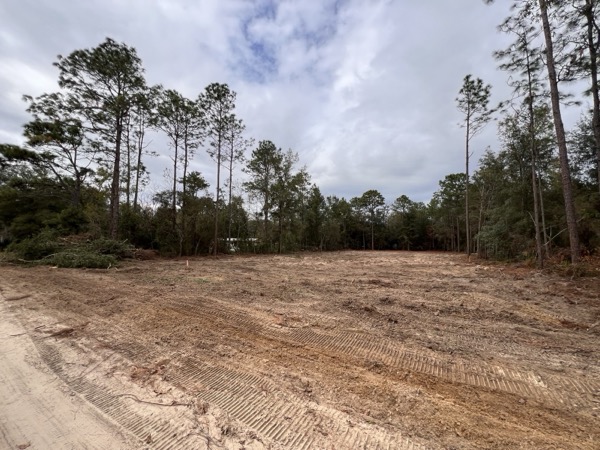 TreeShop land management project in Central Florida