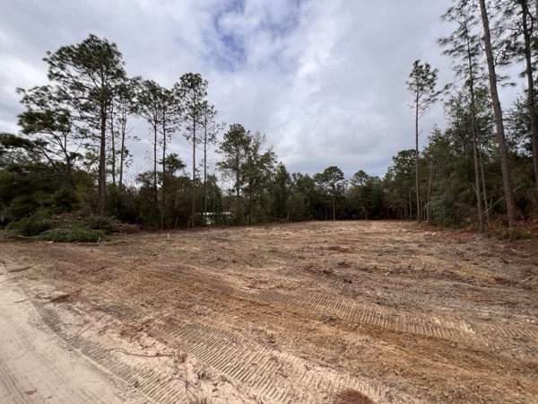 TreeShop land management project in Central Florida