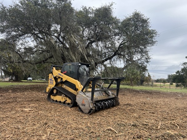 TreeShop land management project in Central Florida