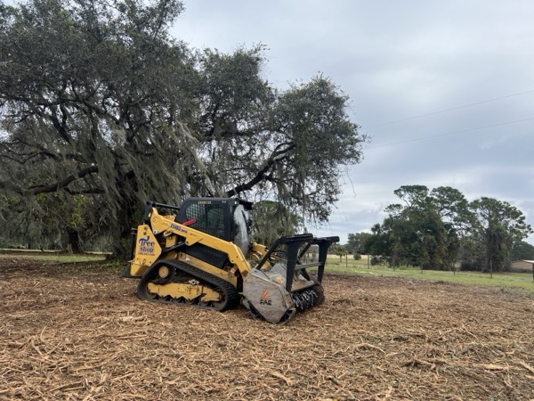 TreeShop land management project in Central Florida