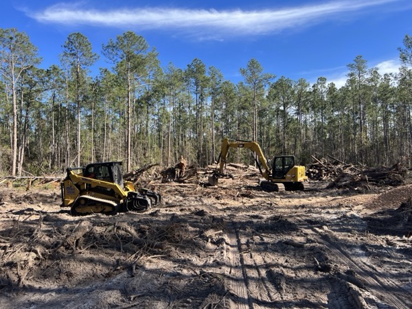 TreeShop land management project in Central Florida
