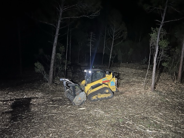 TreeShop land management project in Central Florida